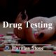 “I Don’t Believe In Drug Testing:” Meeting the Drug Culture in the Workplace.