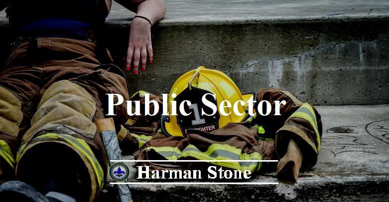 Public Sector Government Harman Stone